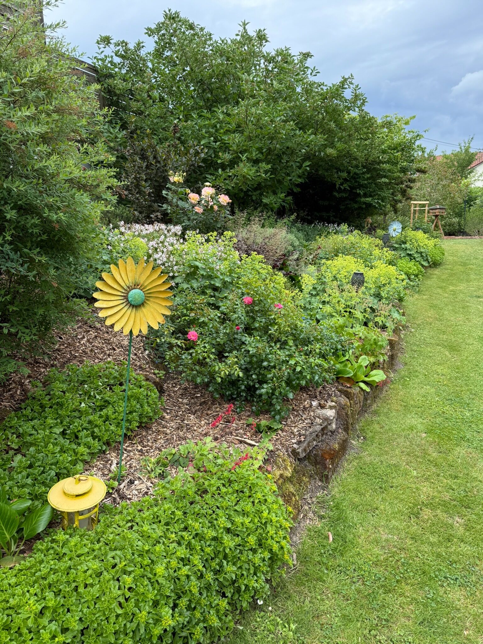 Blühendes Gartenbeet mit gelber Gartenblume